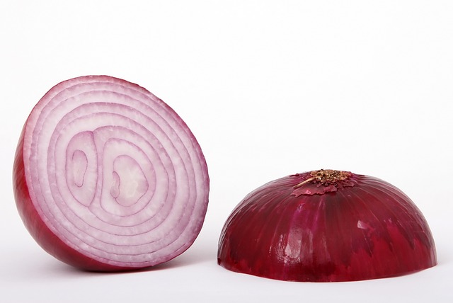 The Pros and Cons of Red Onion Farming